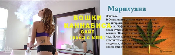 молекула духа Навашино