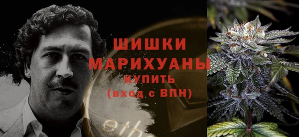 молекула духа Навашино