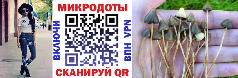 Псилоцибиновые грибы прущие грибы Покровск